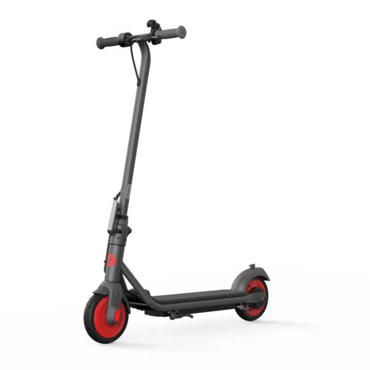 Ninebot Electric Scooter ZING C20