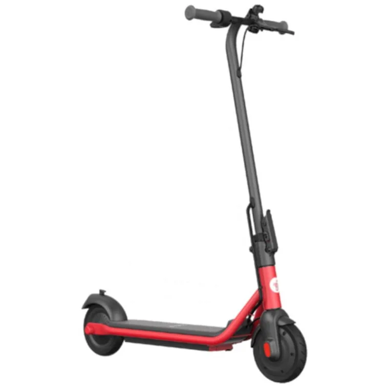 Ninebot Electric Scooter C15E